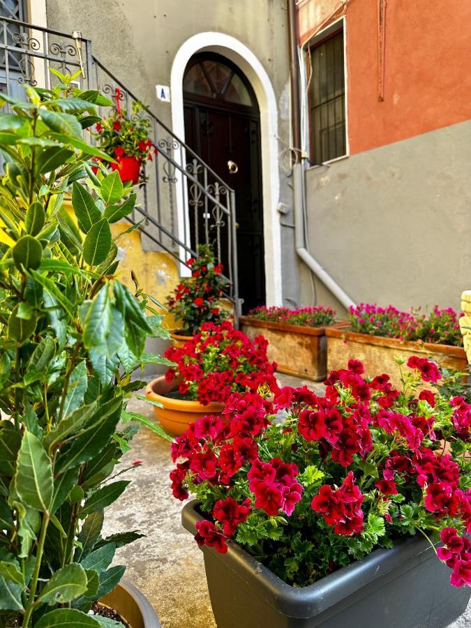 Mimmo'S House 2 Βίλα Κατάνια Εξωτερικό φωτογραφία